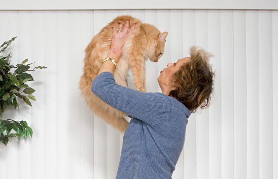 the best kinds of pets for senior 